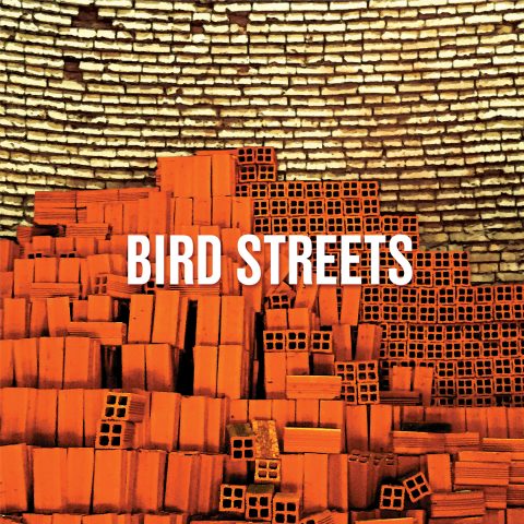 Bird Streets OV-294