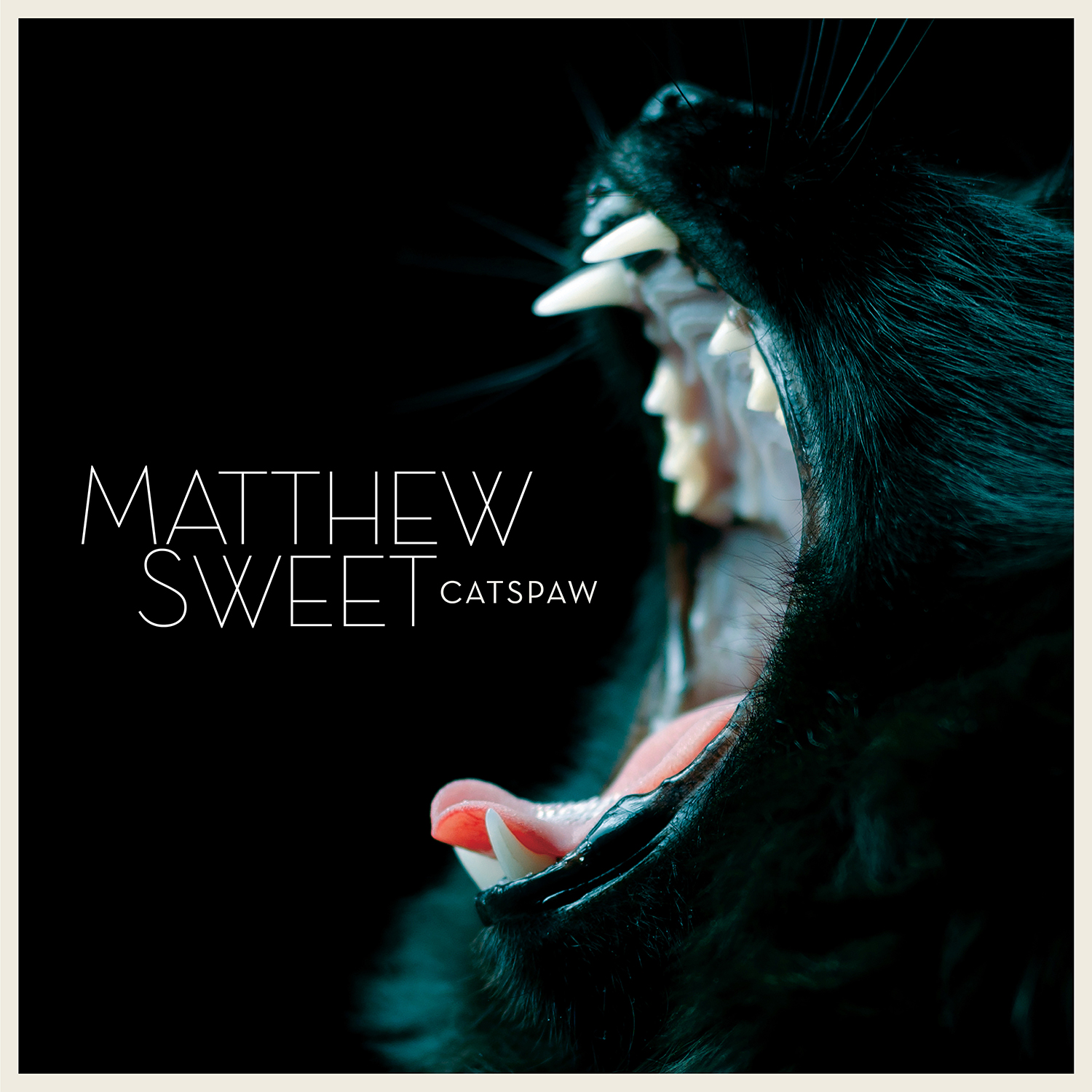 Matthew Sweet — Catspaw – Omnivore Recordings