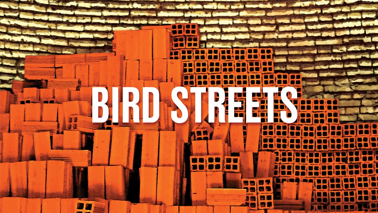 Bird Streets - Bird Streets
