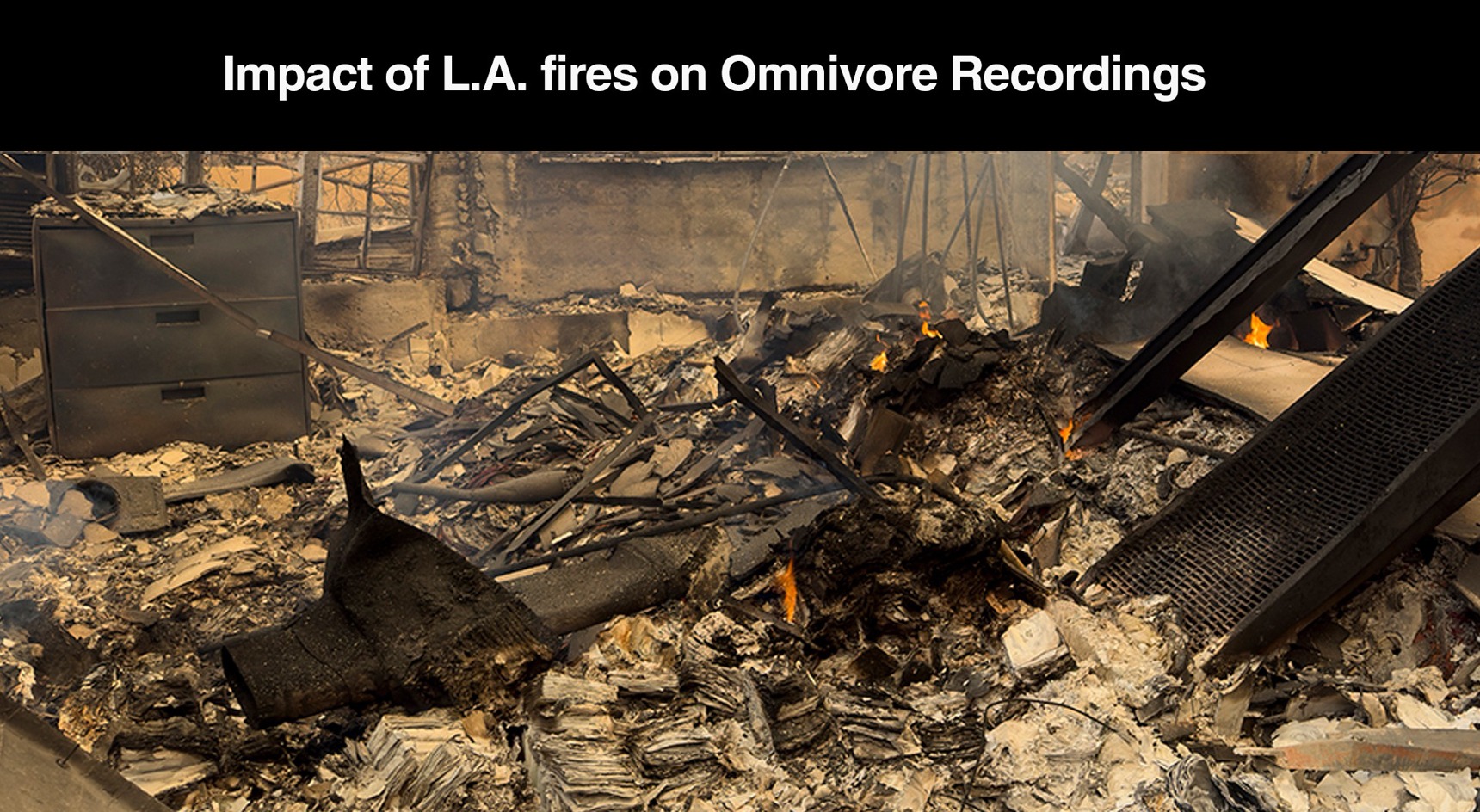 Impact of LA Fires - About Page