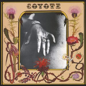 Coyote - Coyote